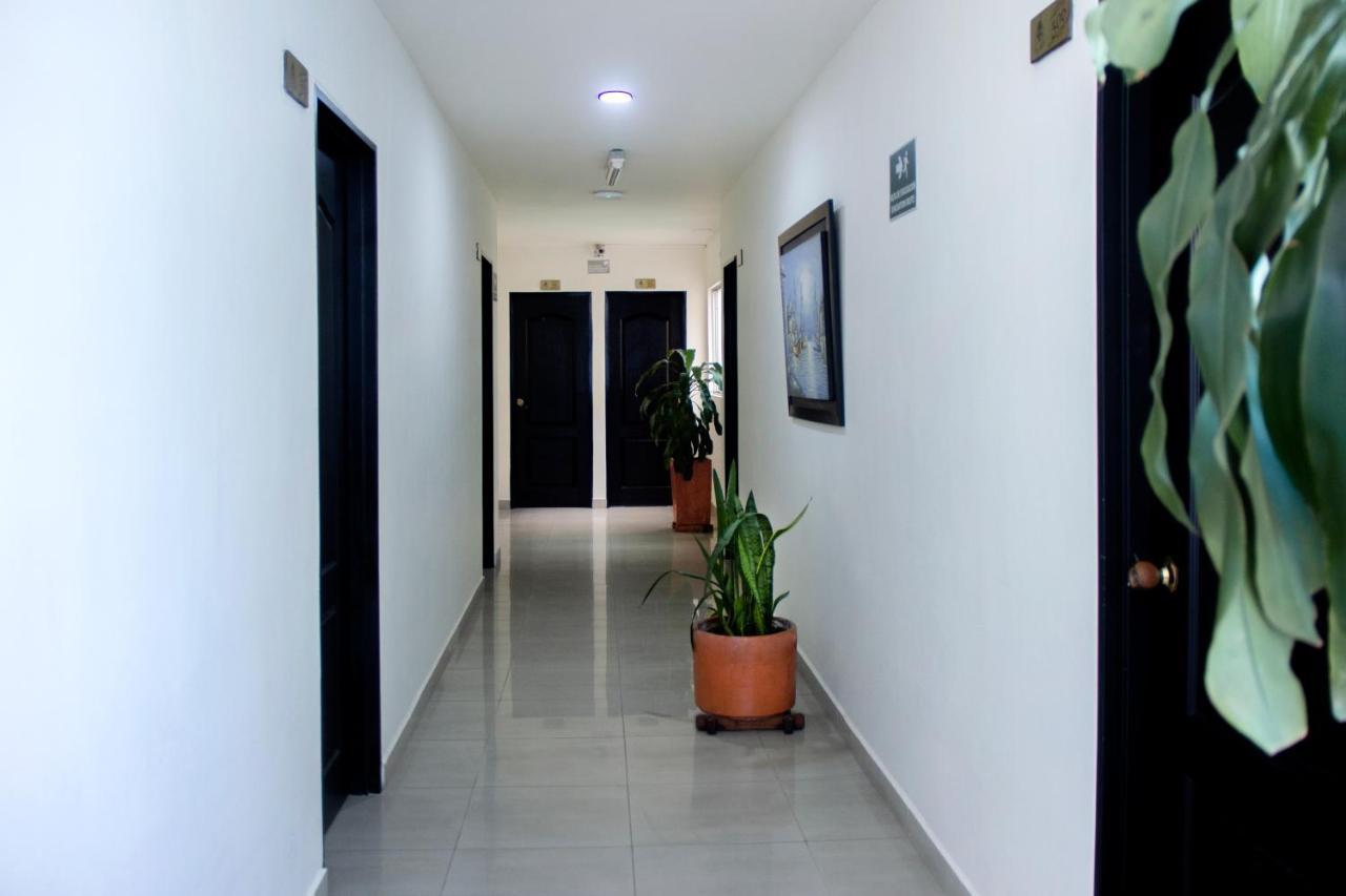 ميديلين Hotel Plazuela San Ignacio المظهر الخارجي الصورة