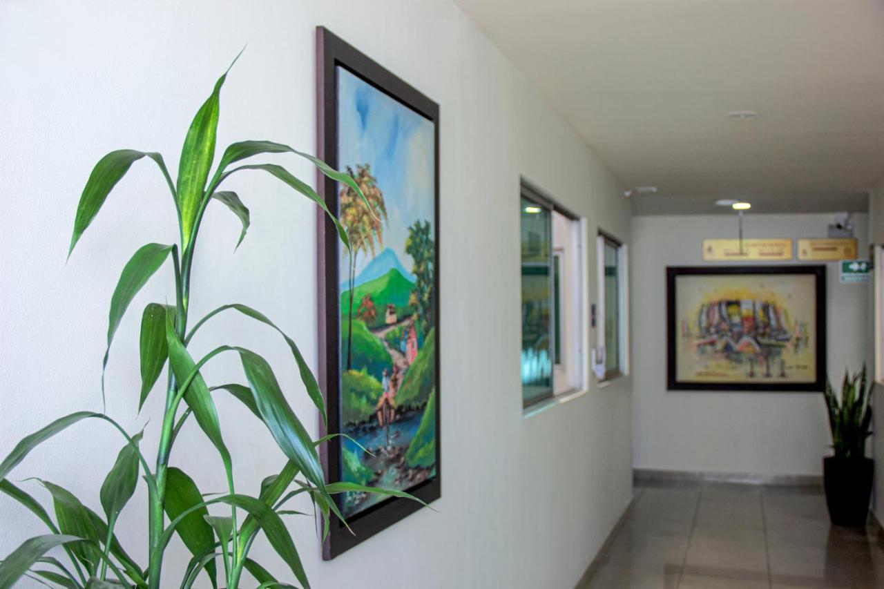 ميديلين Hotel Plazuela San Ignacio المظهر الخارجي الصورة